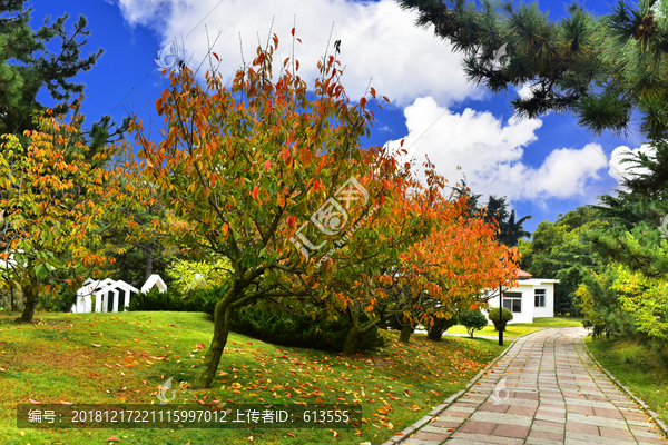 青岛百花苑公园