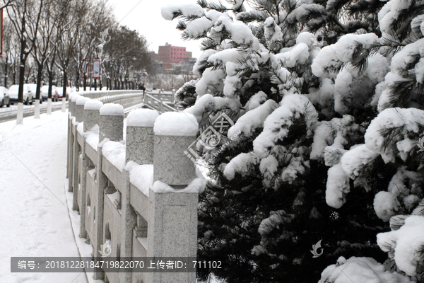 公园雪景