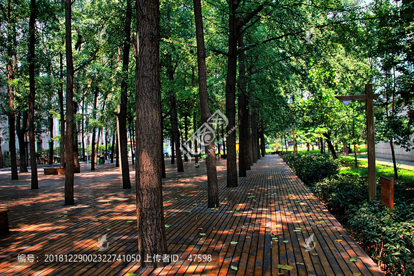 中国电子科技大学