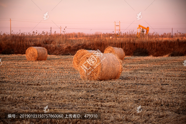 北大荒草包