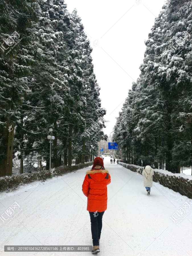 庐山雪景