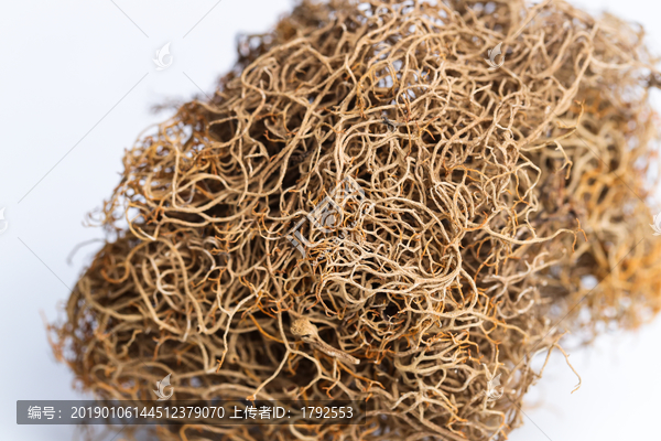 红雪茶