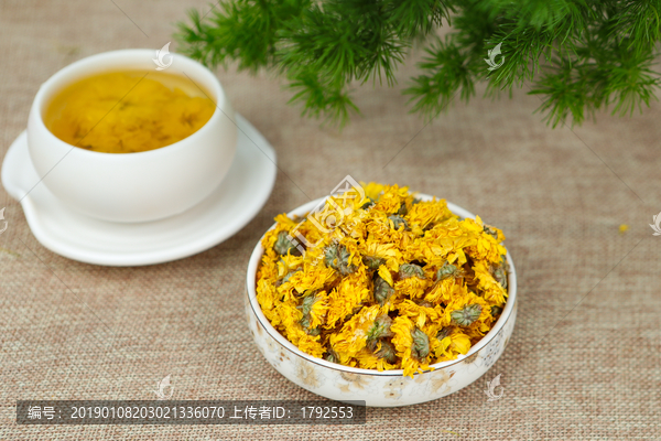 黄贡菊花茶