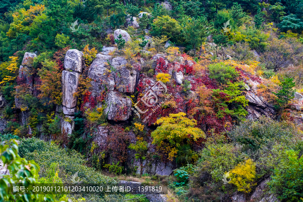 崂山秋色