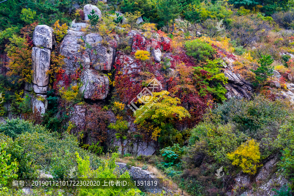 崂山秋色