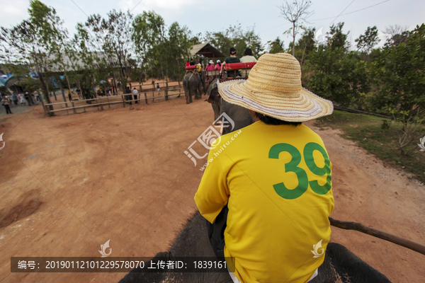 在泰国骑大象