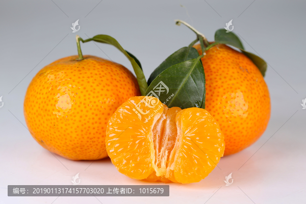 砂糖桔