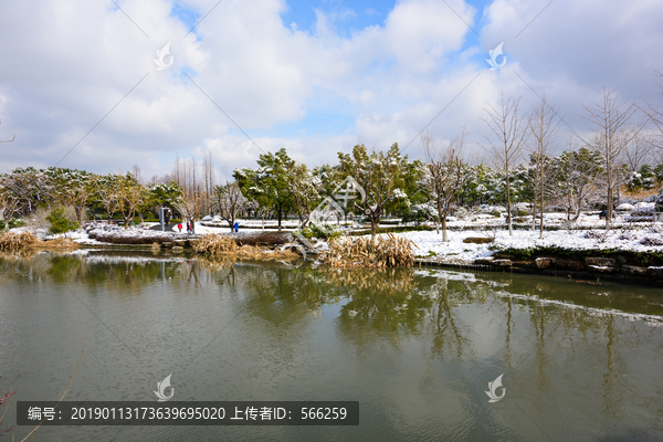 湿地公园