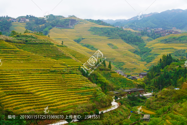 山寨梯田