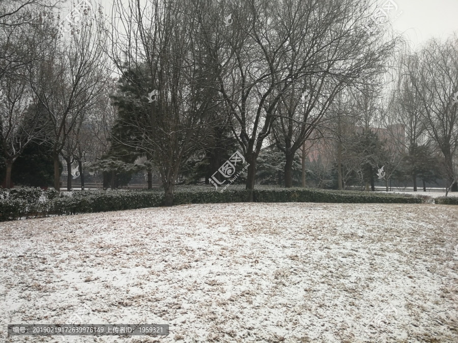 雪后的小公园