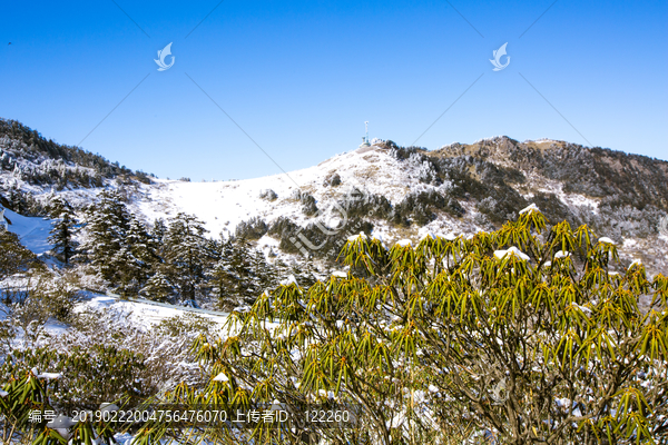 神农架雪景