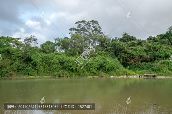 海南琼海万泉河春天的河流