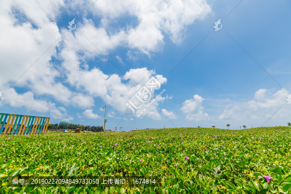 红海湾