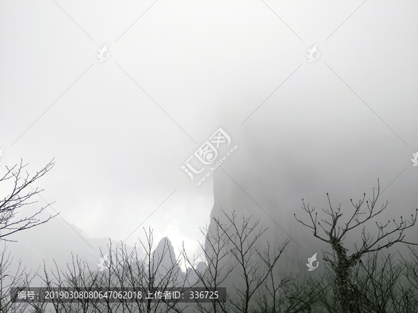 云雾中的群山万壑