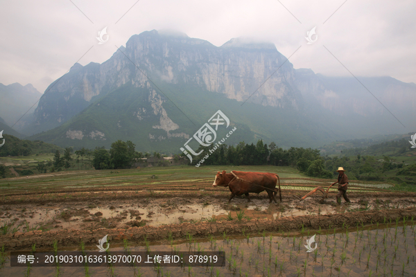 春耕场景