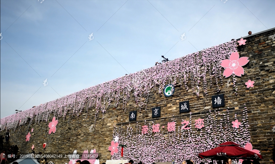 南京城墙樱花节