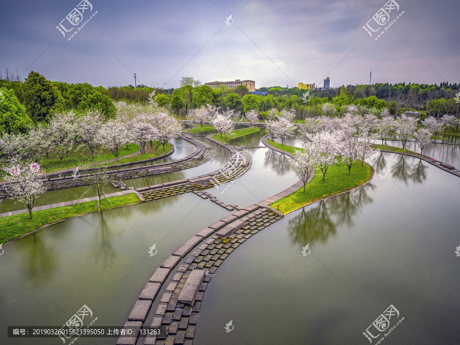 兰溪兰湖水池樱花