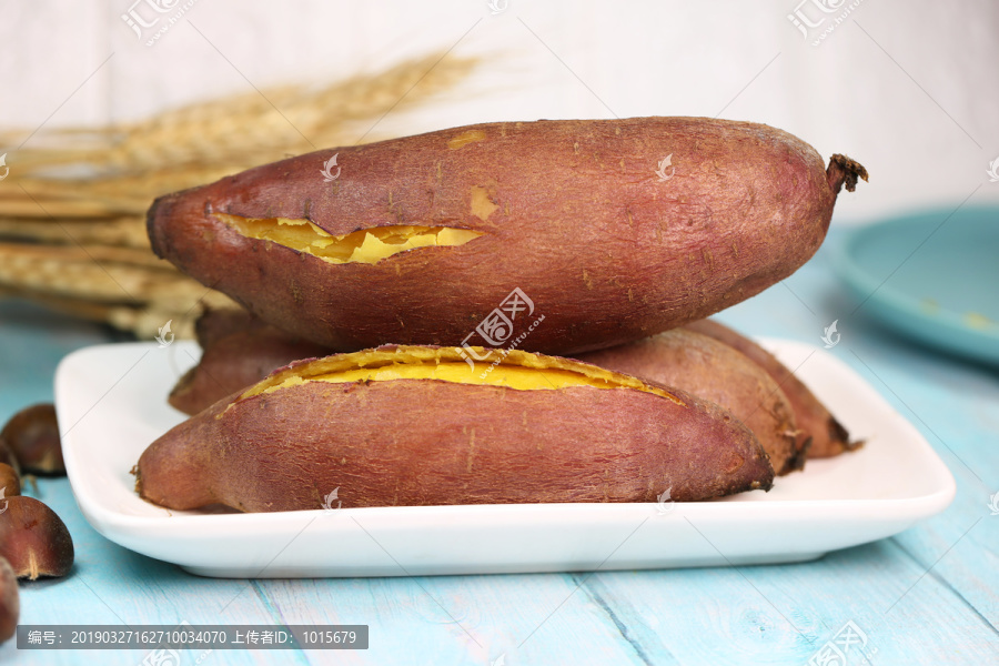 板栗薯
