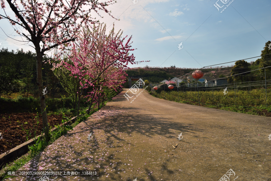 桃园风景