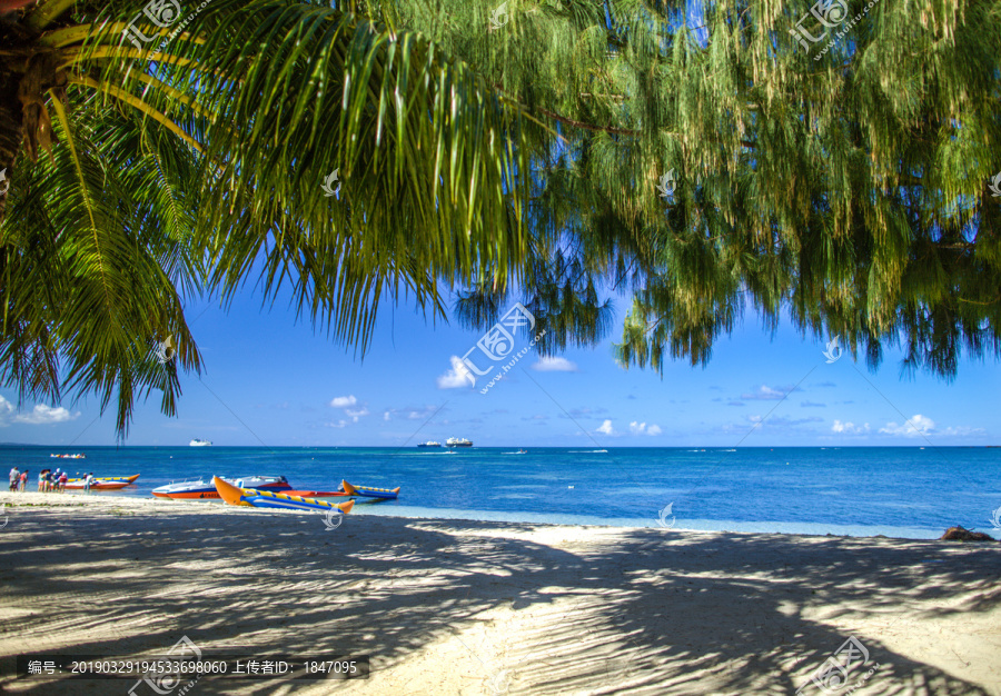 塞班岛椰树海滩