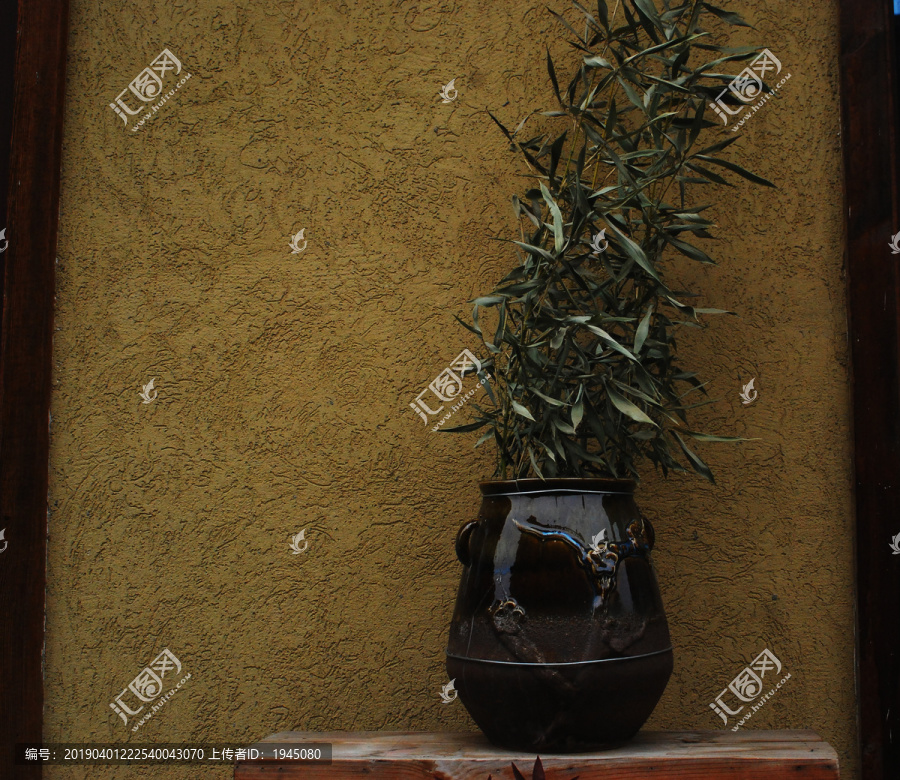 盆栽背景墙