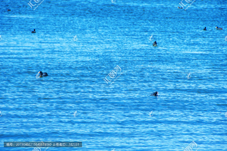 水波湖面风景