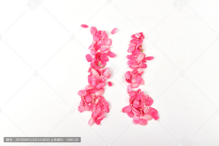 数字11粉红色的花