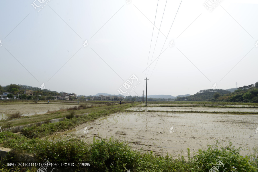 农田与电线杆