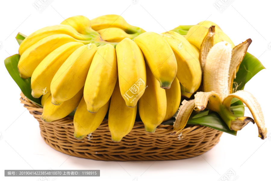 小米蕉