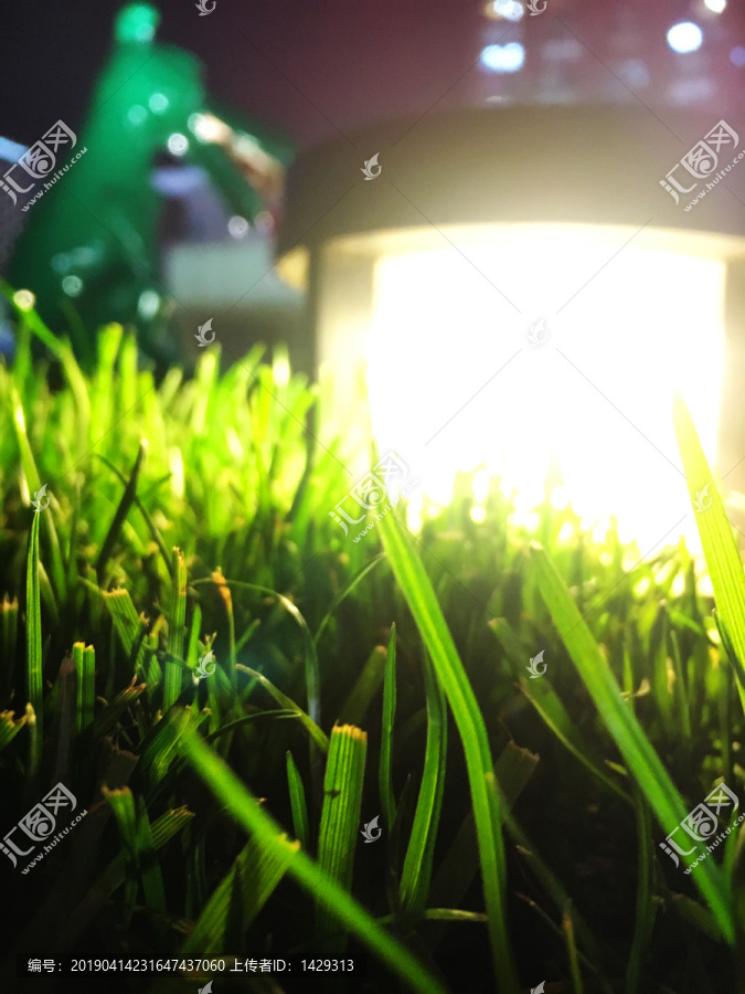 灯光下的草地