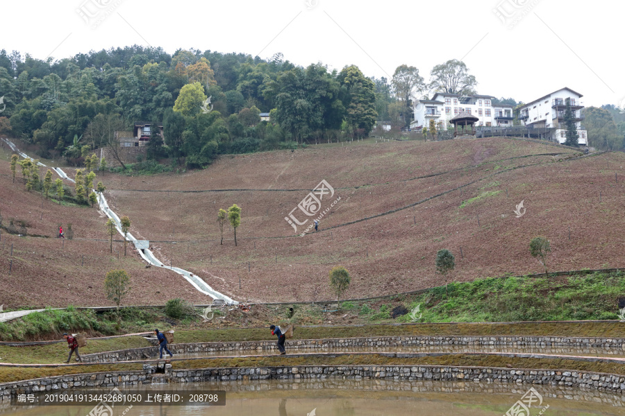 田园风景