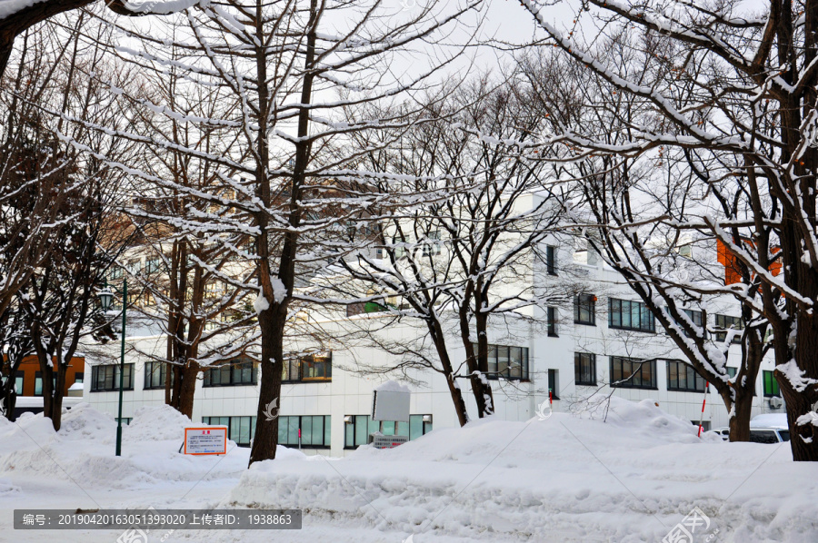 大学雪景