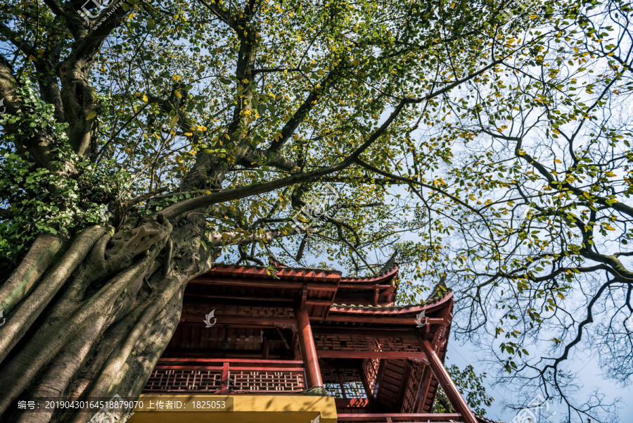 重庆南山佛教寺庙涂山寺风光