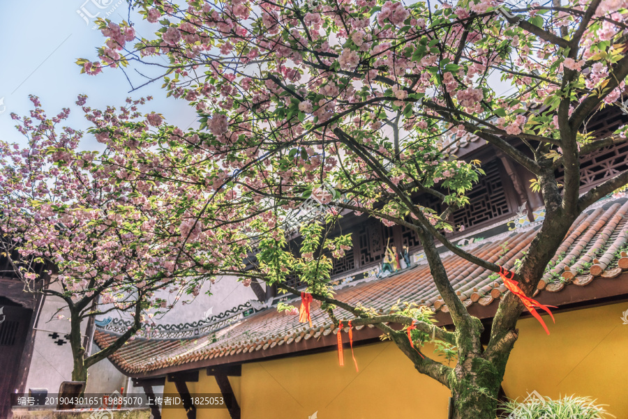 重庆南山佛教寺庙涂山寺风光