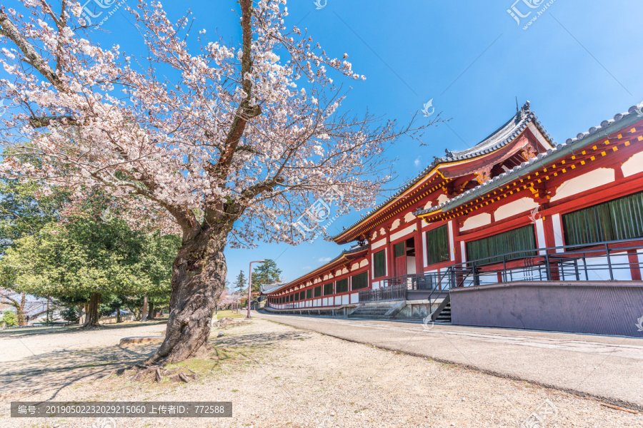 奈良东大寺建筑风光