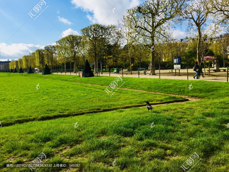 巴黎草坪