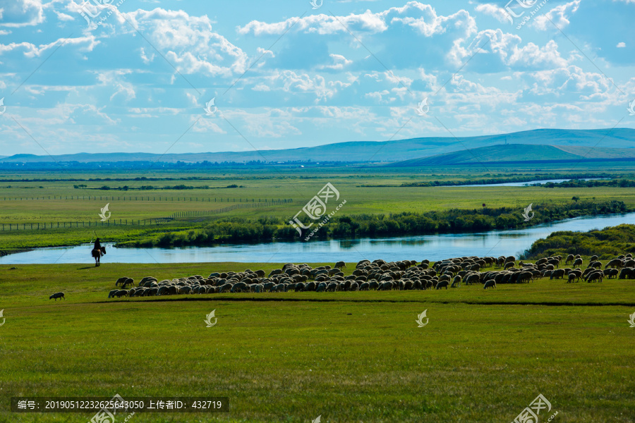 草原湿地河流羊群