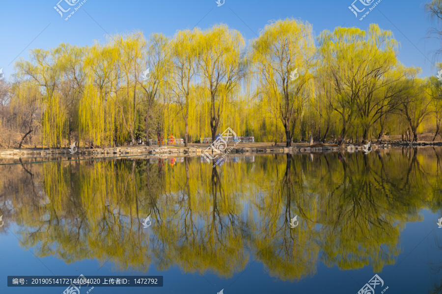 北京颐和园圆明园春季迷人风光