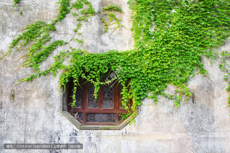 绿植墙古窗户