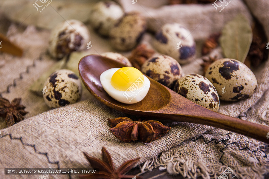 蛋黄新鲜鹌鹑蛋鸟蛋勺子里的蛋黄