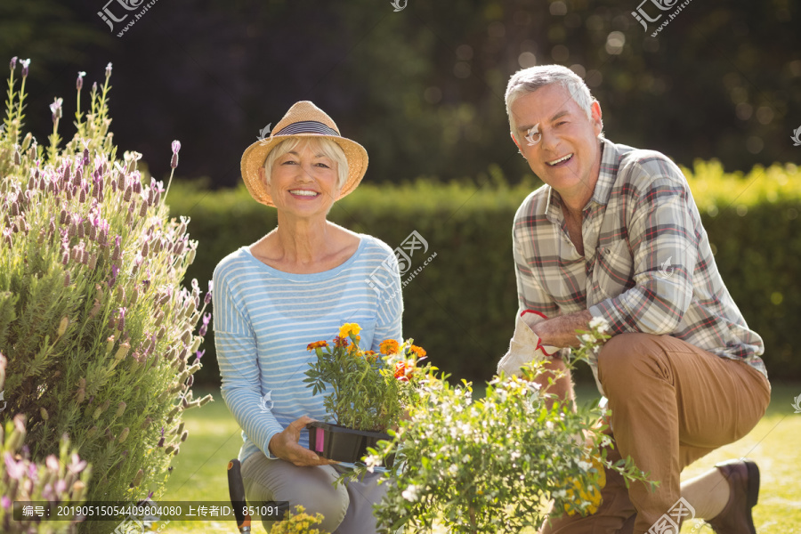 快乐老年夫妇在后院一起园艺