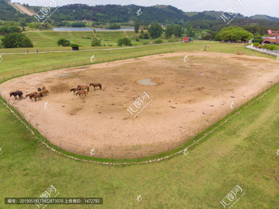 湖北武汉木兰草原风景区初夏风光