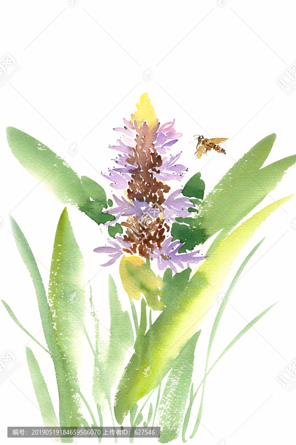 蜜蜂与紫色花