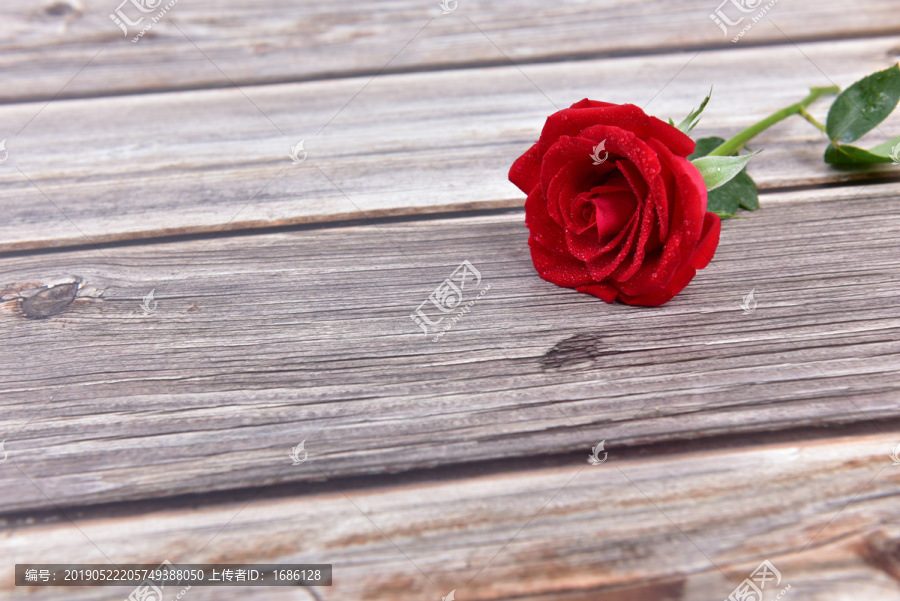 木板上一枝红色玫瑰花