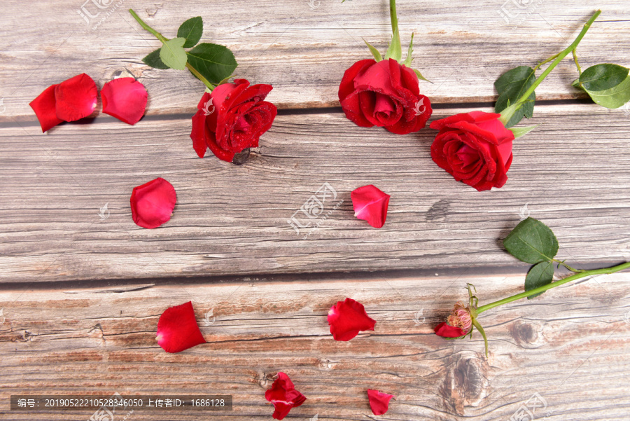 木板上玫瑰花