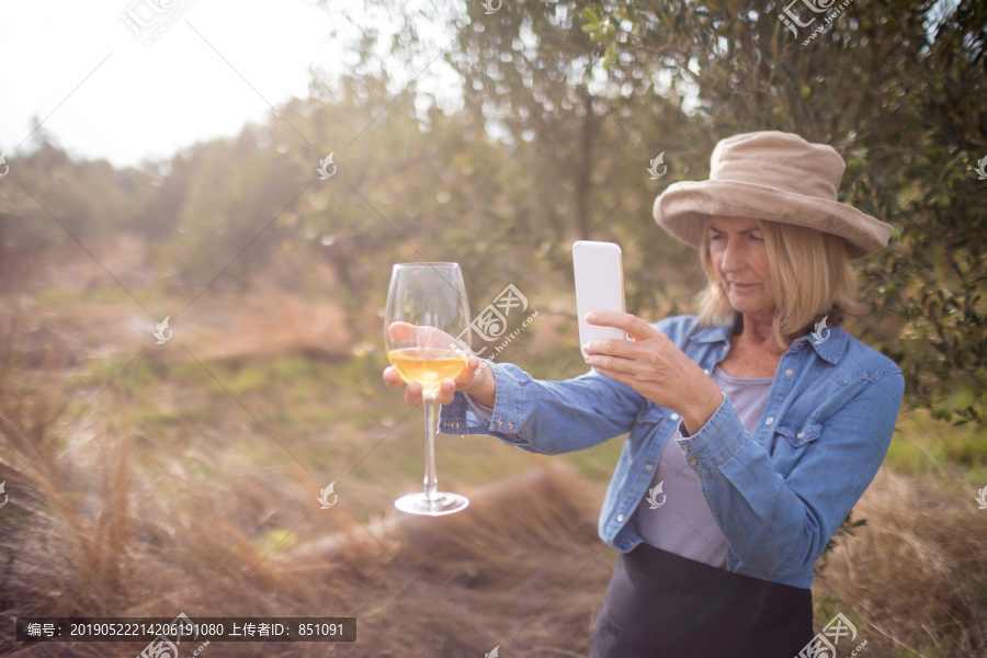 一个女人在橄榄园里给酒杯拍照