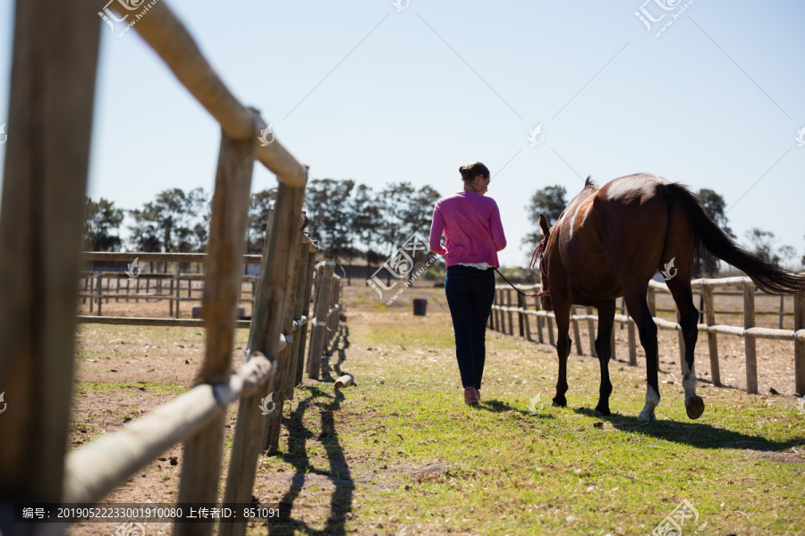 在牧场上和马一起散步的妇女