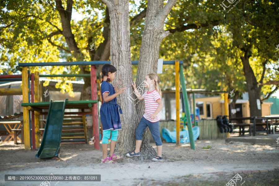 女孩们站在公园的树旁聊天