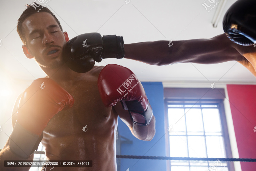 在健身室练习拳击的拳击手