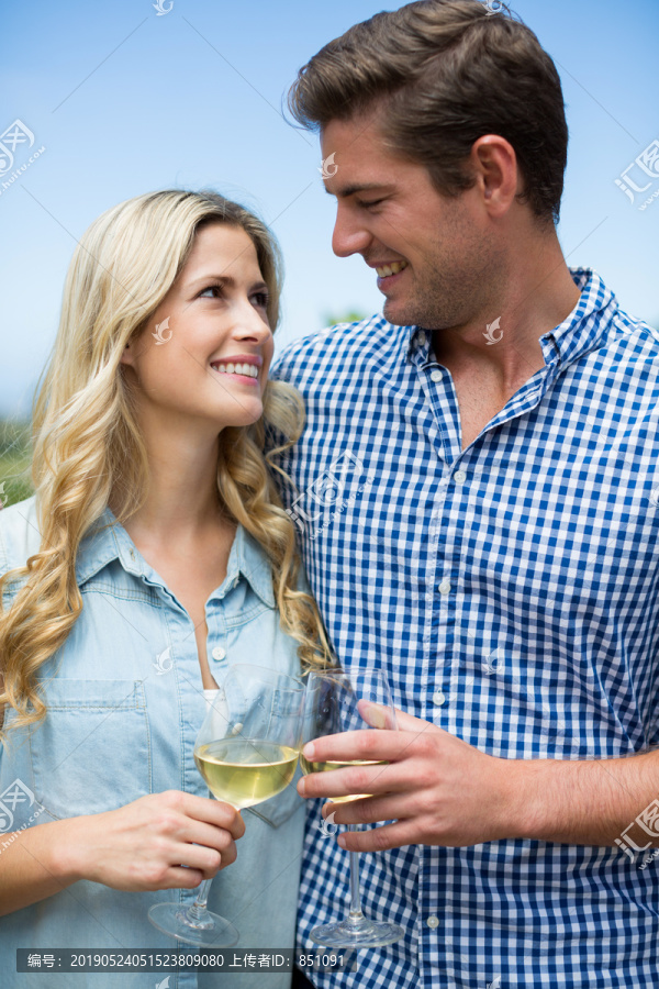 在葡萄园拿着酒杯的年轻夫妇